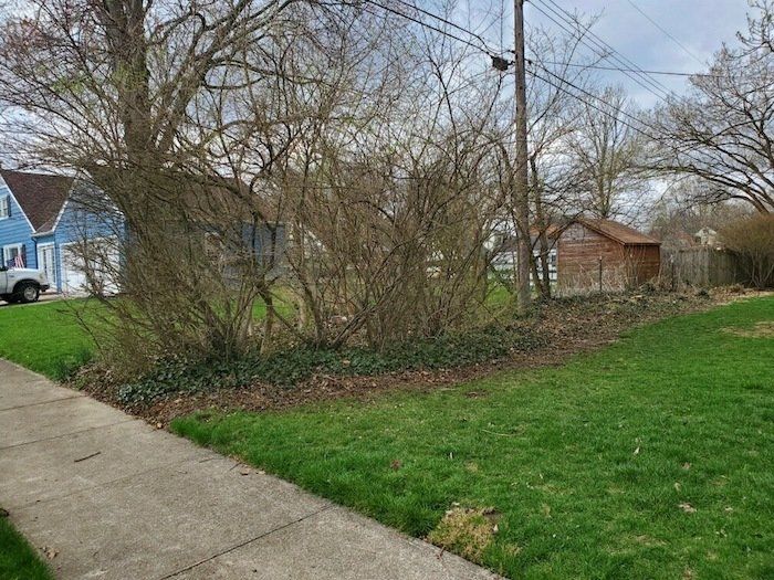 bush trimming middletown ohio before