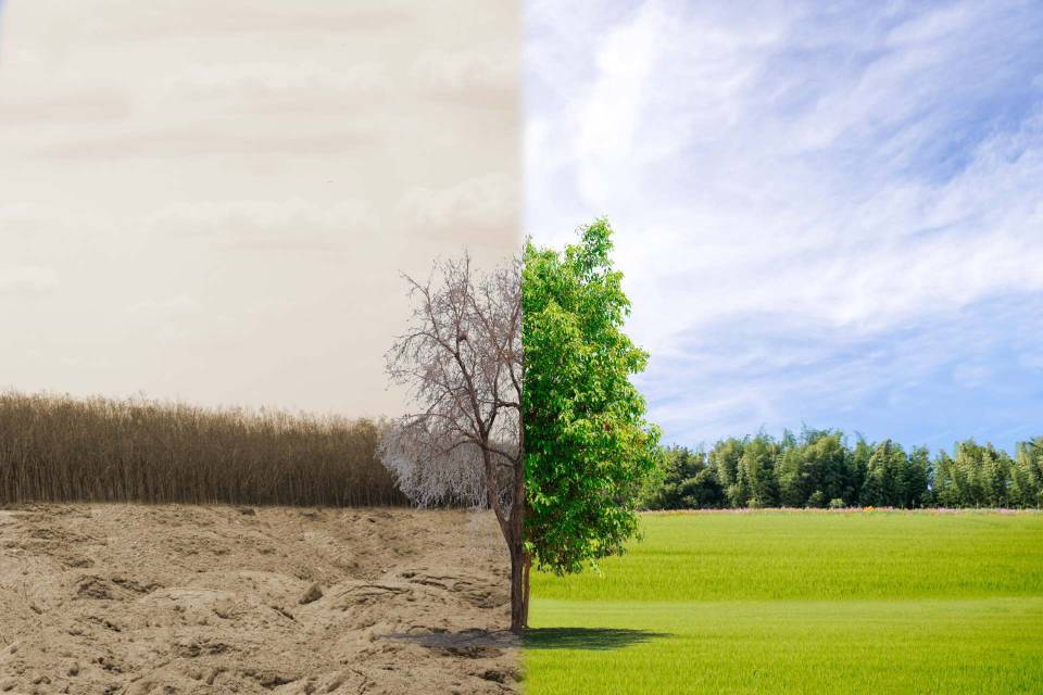 Servizi per l'industria