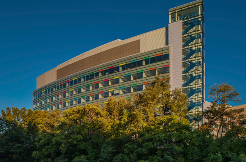 Modern building with colorful window frames against a clear blue sky, seen from behind a line of trees.