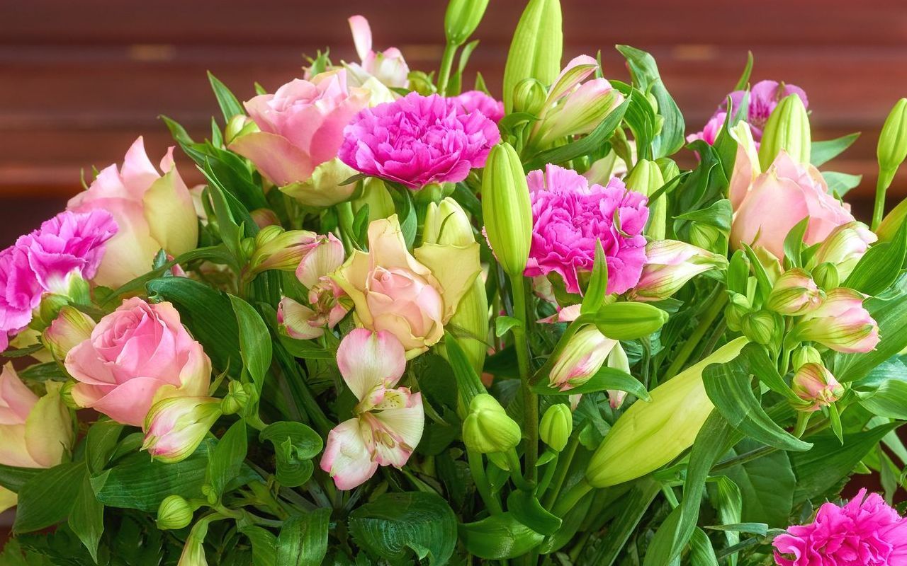 Pink and magenta flowers with green leaves, close-up view.
