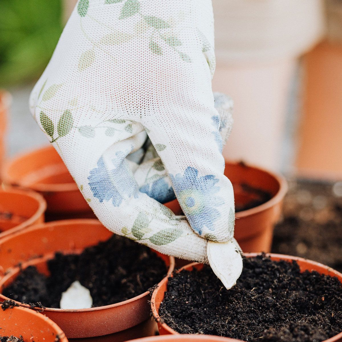 planting seeds in a flowerpot to represent how you can grown your career