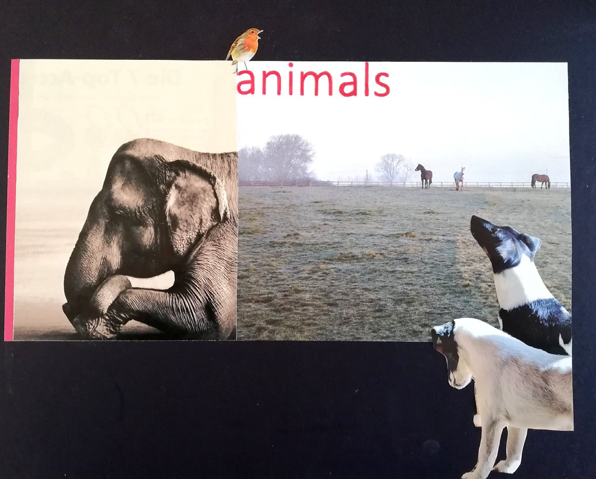 Beschriftungen für Schachteln für Englischvokabeln