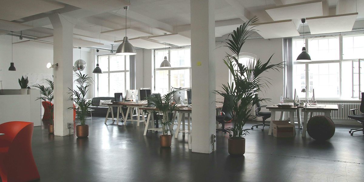 Feng Shui Office Renovations 