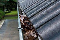 Gutter Maintenance — Gutter With Leaves in Fall River, MA