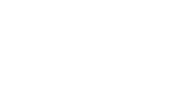 Logo Wilson Sup Locarno