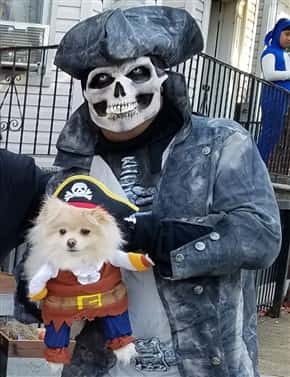 Pomeranian and owner Halloween costumes PetPom