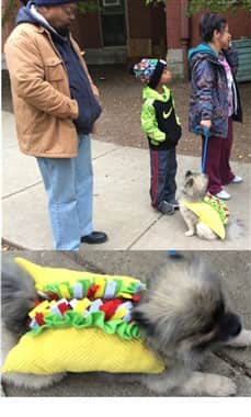 group photo  dog taco costume