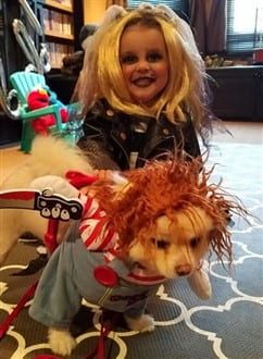 Pomeranian as Chucky