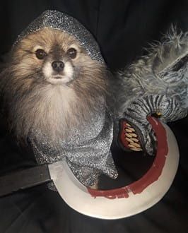 Pomeranian werewolf slayer costume