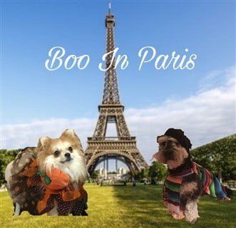 Pom in Paris