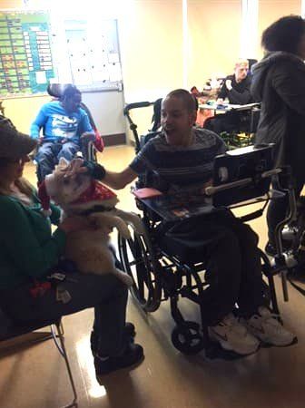 pomeranian-therapy-dog-visiting-boy