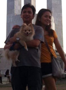Pomeranian in the Philippines