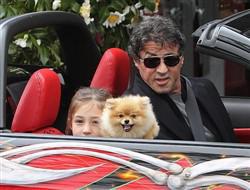 Sylvester Stallone with Pomeranian