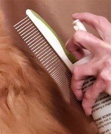 Brush a Pom, Step 1A