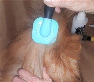 Brush a Pom, Step 3B