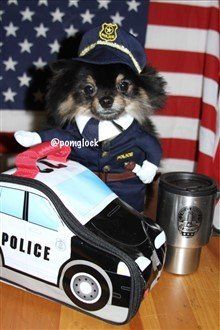 canine cop costume