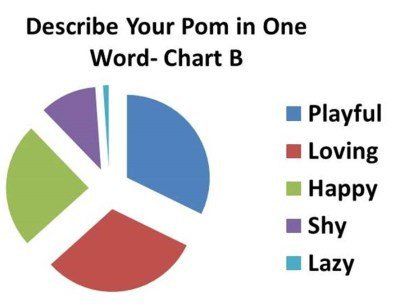 Pomeranian personalty chart B
