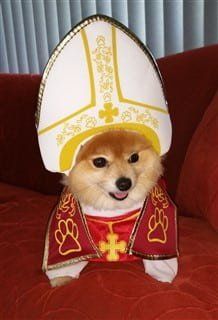 dog Pope costume for Halloween