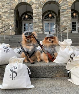 petpom-2018-halloween-winner-best-costume