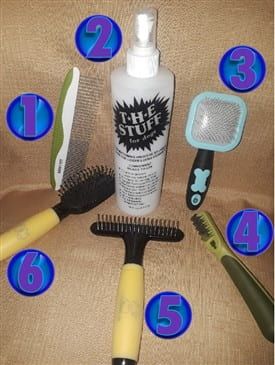 Pomeranian brushing supplies