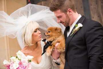 Pomeranian at wedding
