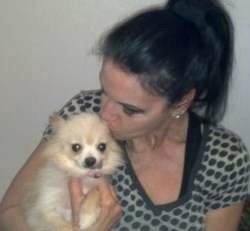 Pawsitively pom hot sale rescue