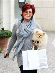 Sharon Osborne famous star with Pomeranian