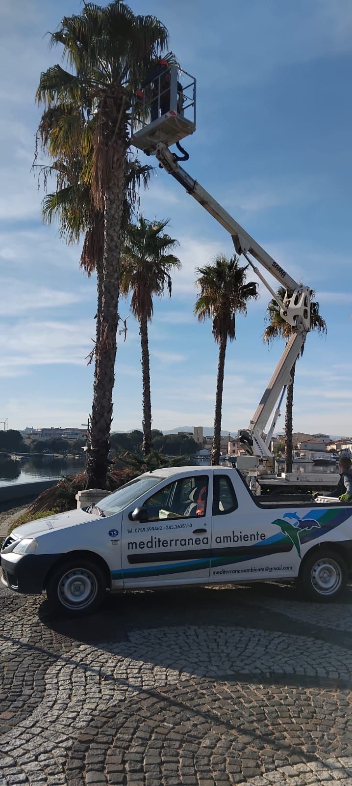 Un pick-up bianco con una piattaforma aerea che taglia le palme in riva a uno specchio d'acqua.