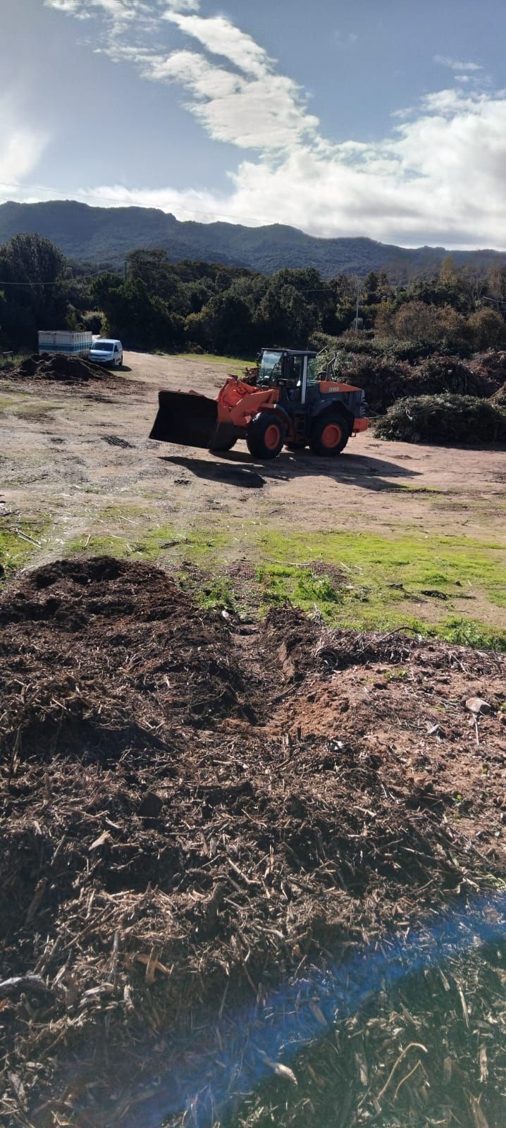 Pala caricatrice frontale arancione su terra davanti ad alberi e montagne, camion sullo sfondo, giornata di sole.