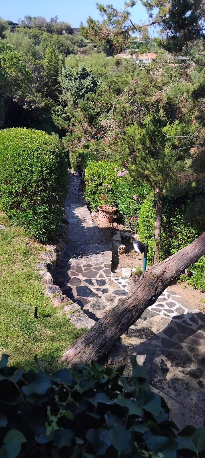 Un sentiero di pietra si snoda attraverso una vegetazione lussureggiante. 