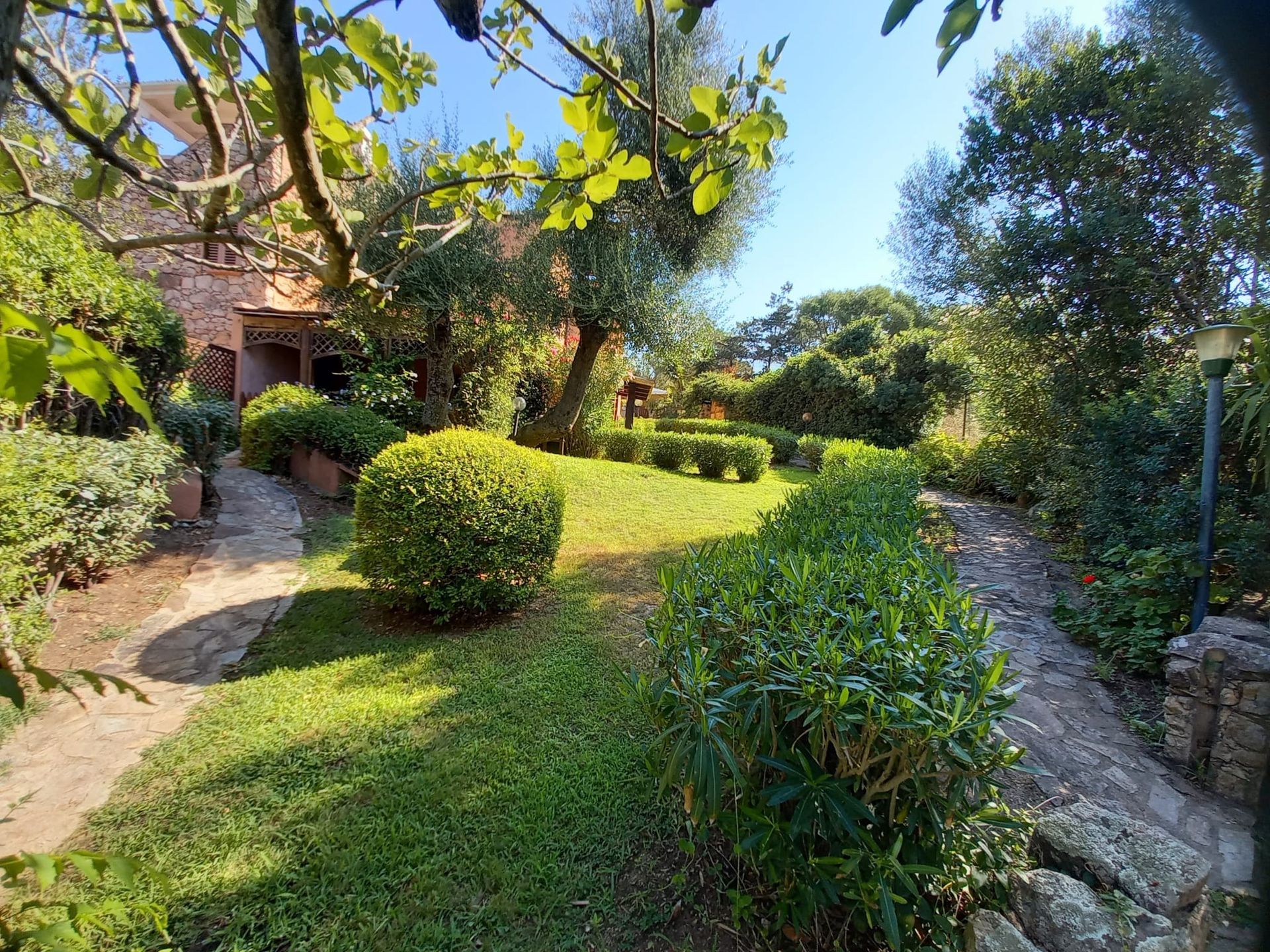 Giardino rigoglioso con erba verde, siepi e sentieri in pietra sotto un cielo azzurro brillante.