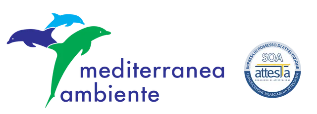 Logo Petali e Capricci