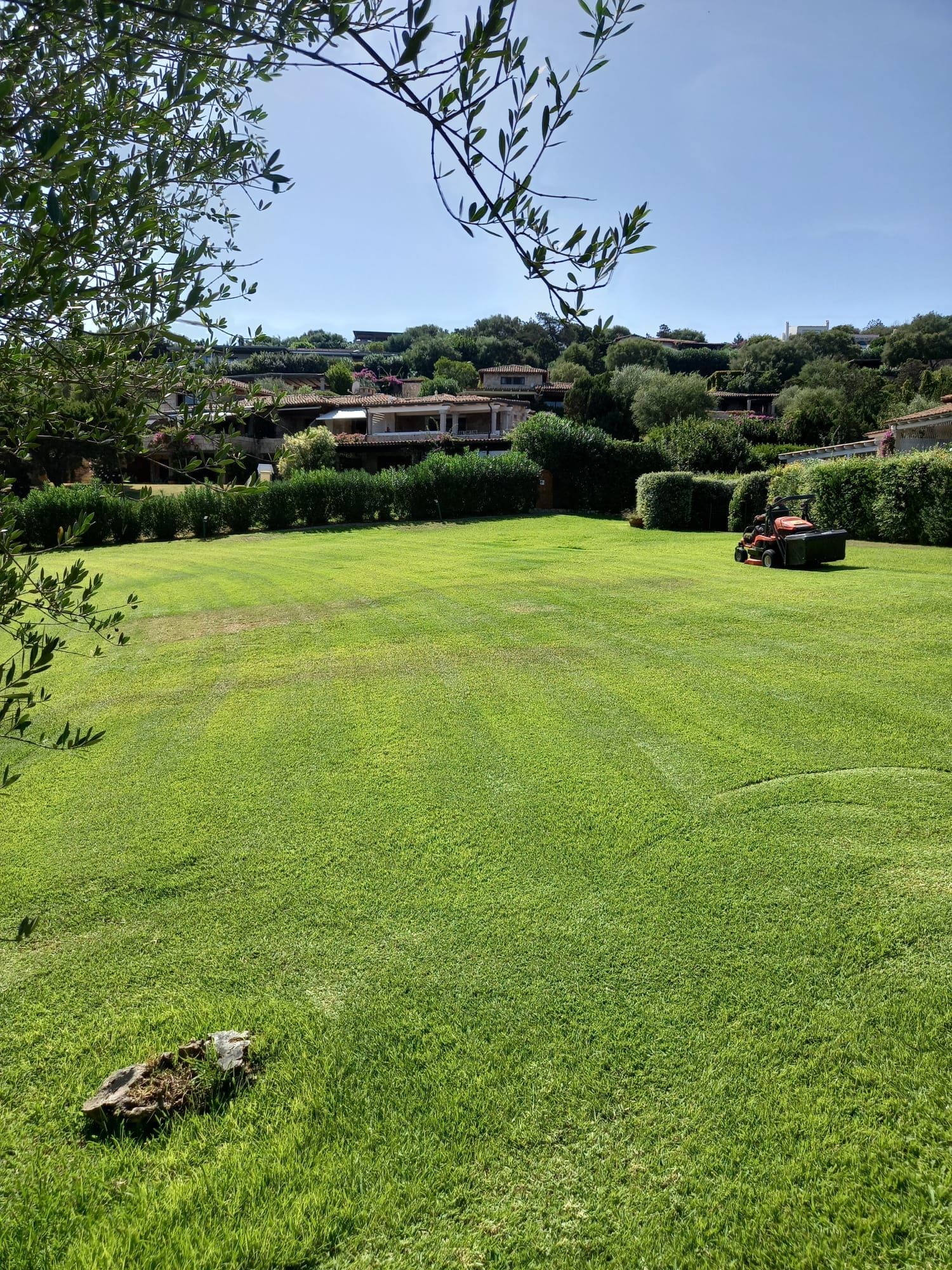 Un prato verde lussureggiante con un tosaerba che taglia l'erba; edifici e alberi sullo sfondo sotto un cielo azzurro.