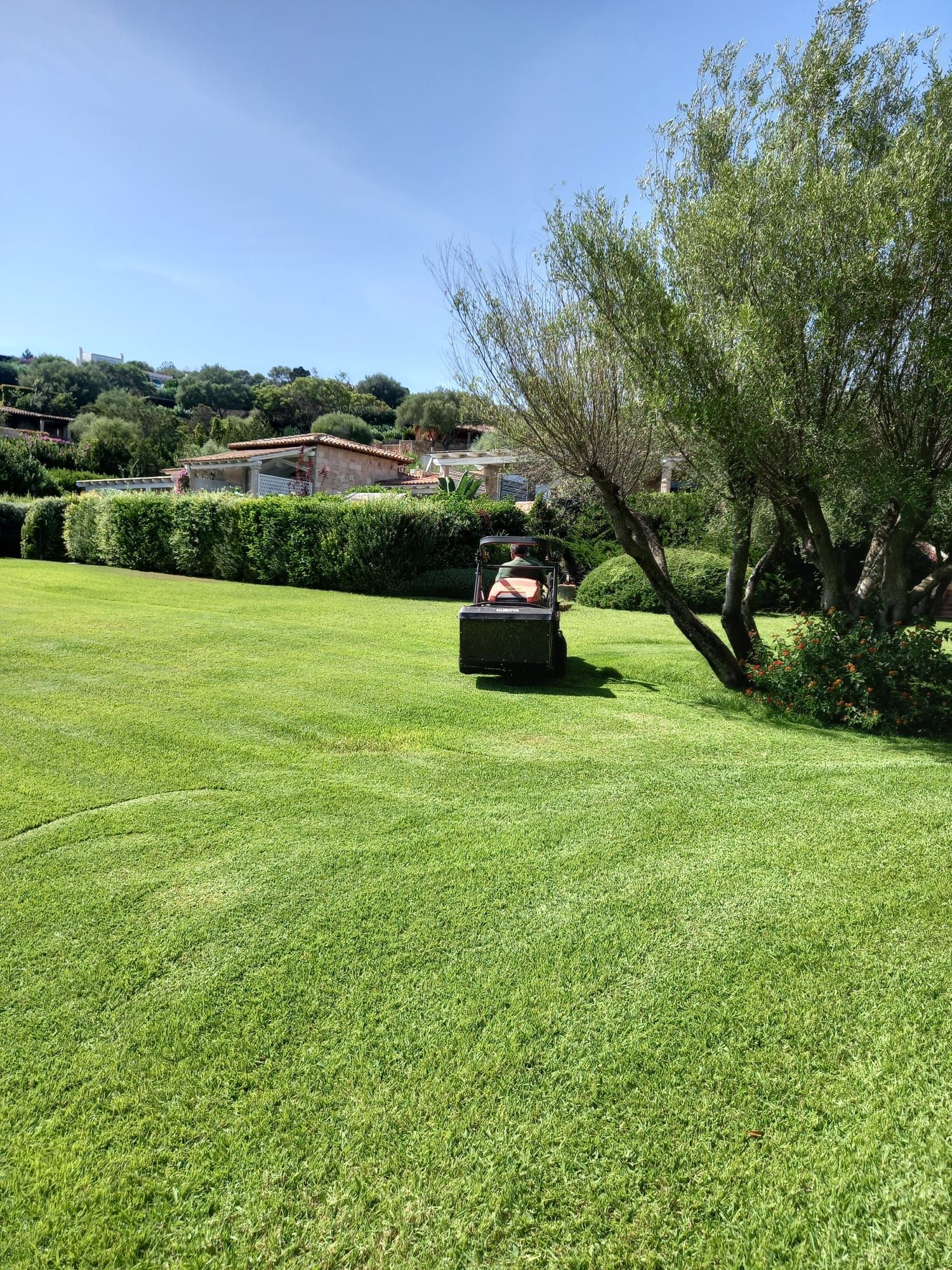 Persona che taglia l'erba del prato verde con un tosaerba in una giornata di sole.
