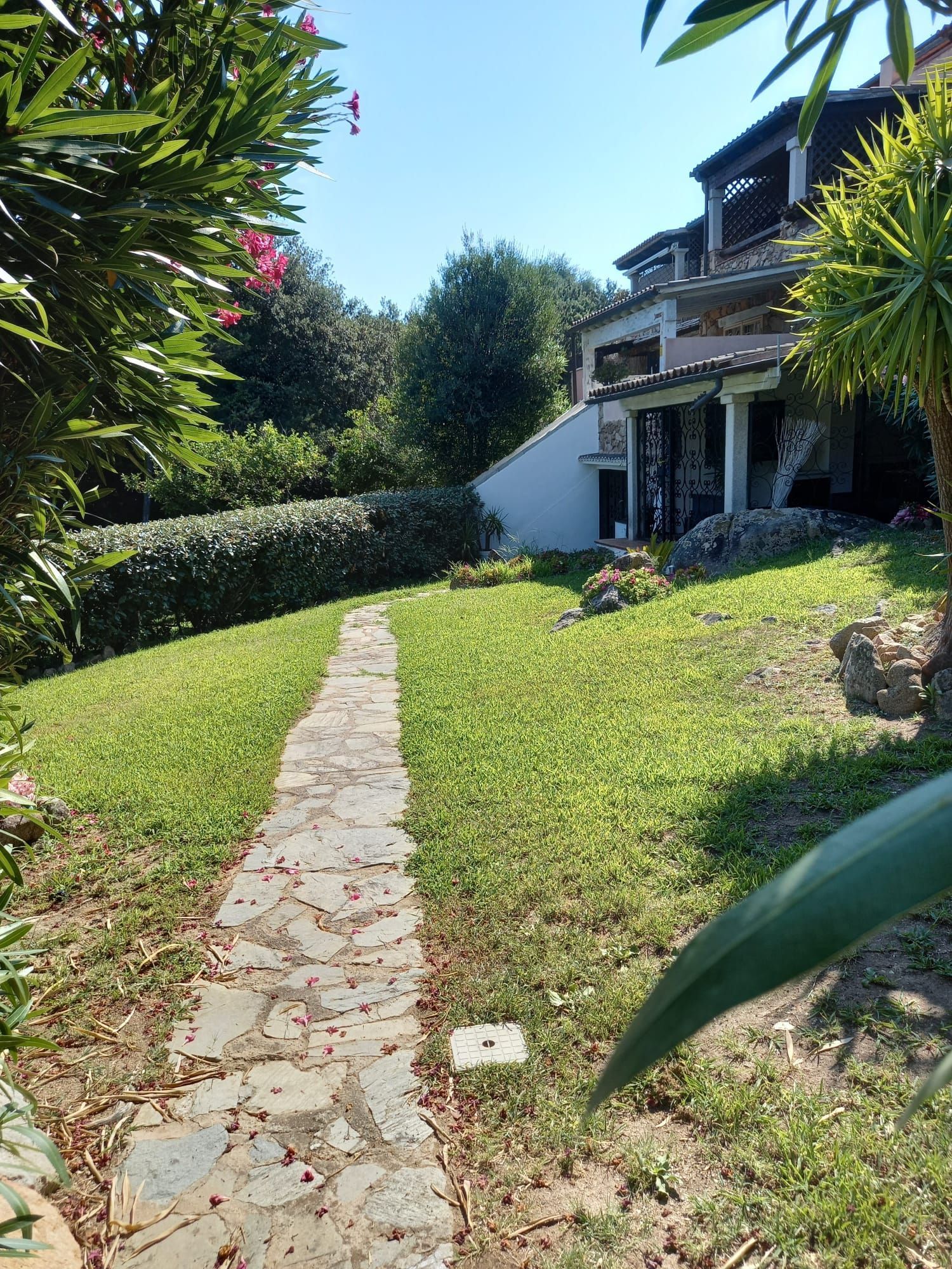 Un sentiero in pietra conduce a una casa con un prato verde e alberi sotto un cielo soleggiato.