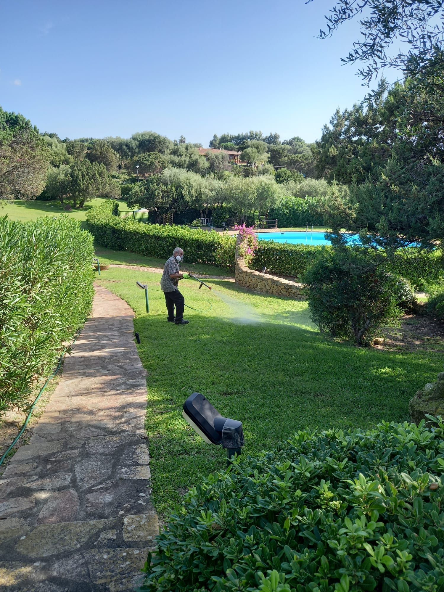 Uomo che spruzza acqua sul prato con un lungo tubo in un giardino verde, sentiero in pietra, piscina sullo sfondo.