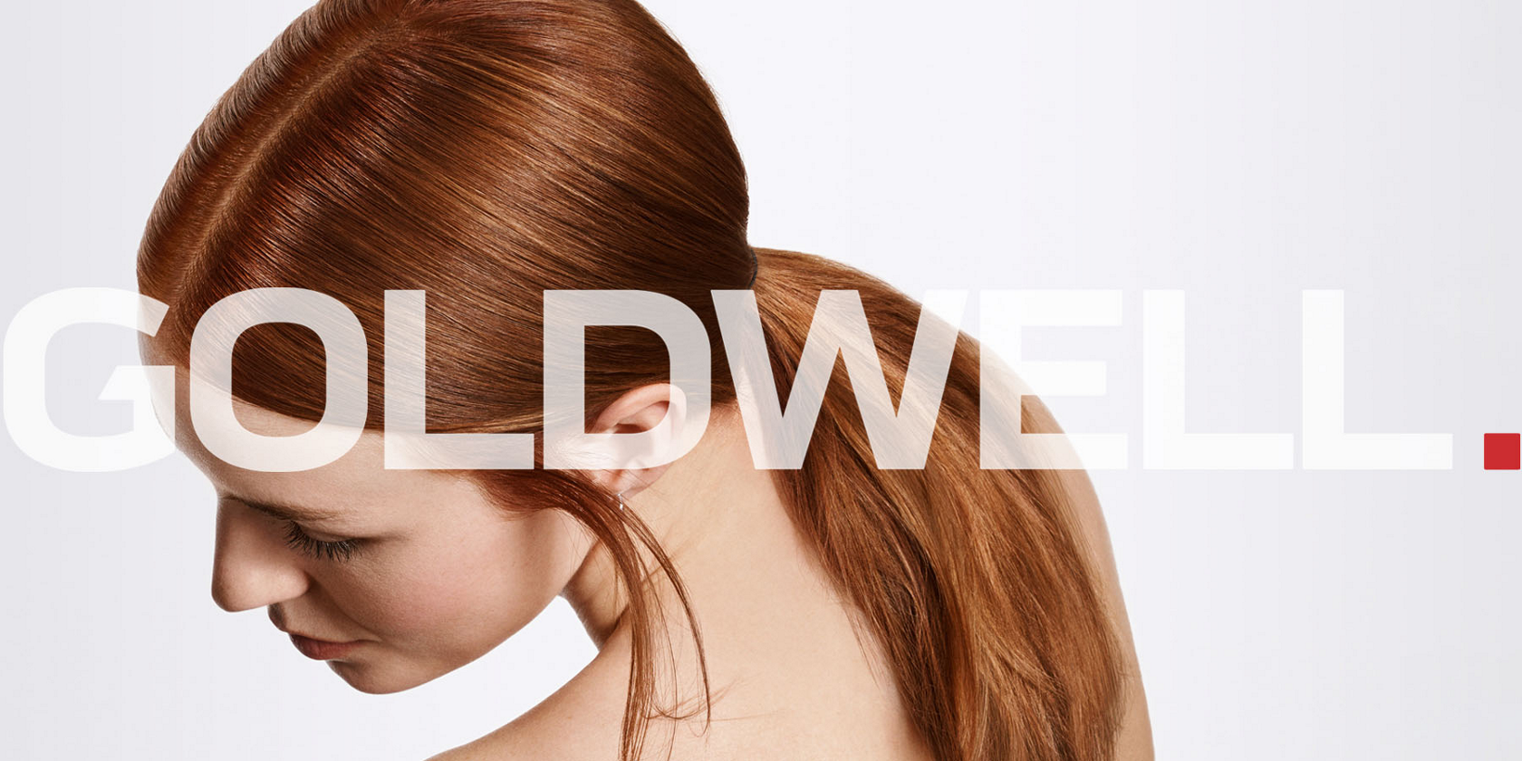 linea goldwell