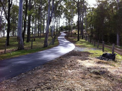 Long Driveway Through Tree Canopy  — Concreting and Asphalting in Logan Village, QLD
