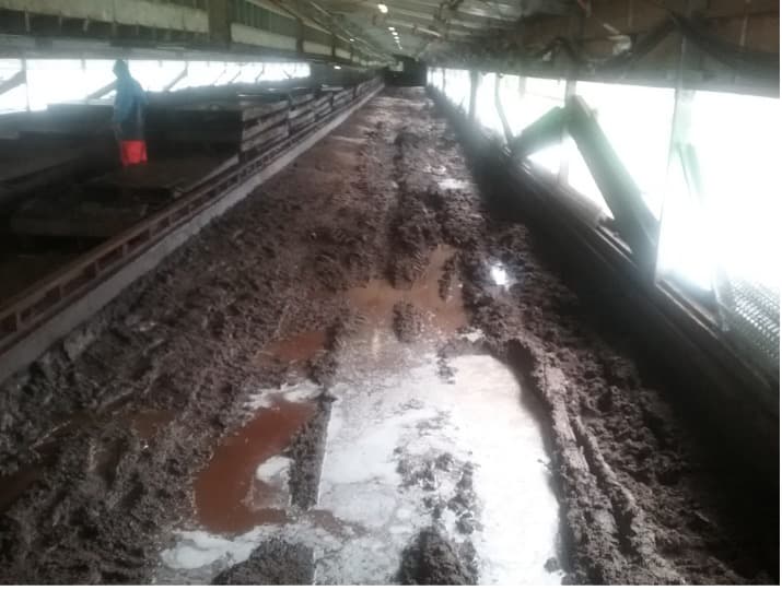 Industrial Flooring Before Concreting — Asphalt and Concreting Services and Solutions in Logan Village, QLD