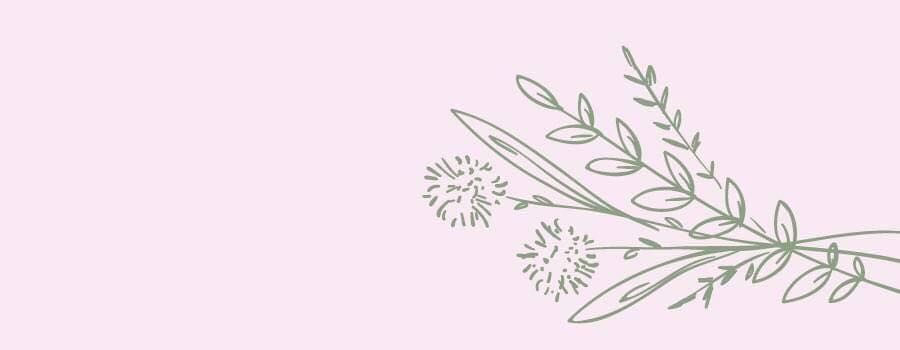 A drawing of a bunch of flowers on a pink background — Ivy & Ash Flowers & Gifts in Palmview, QLD