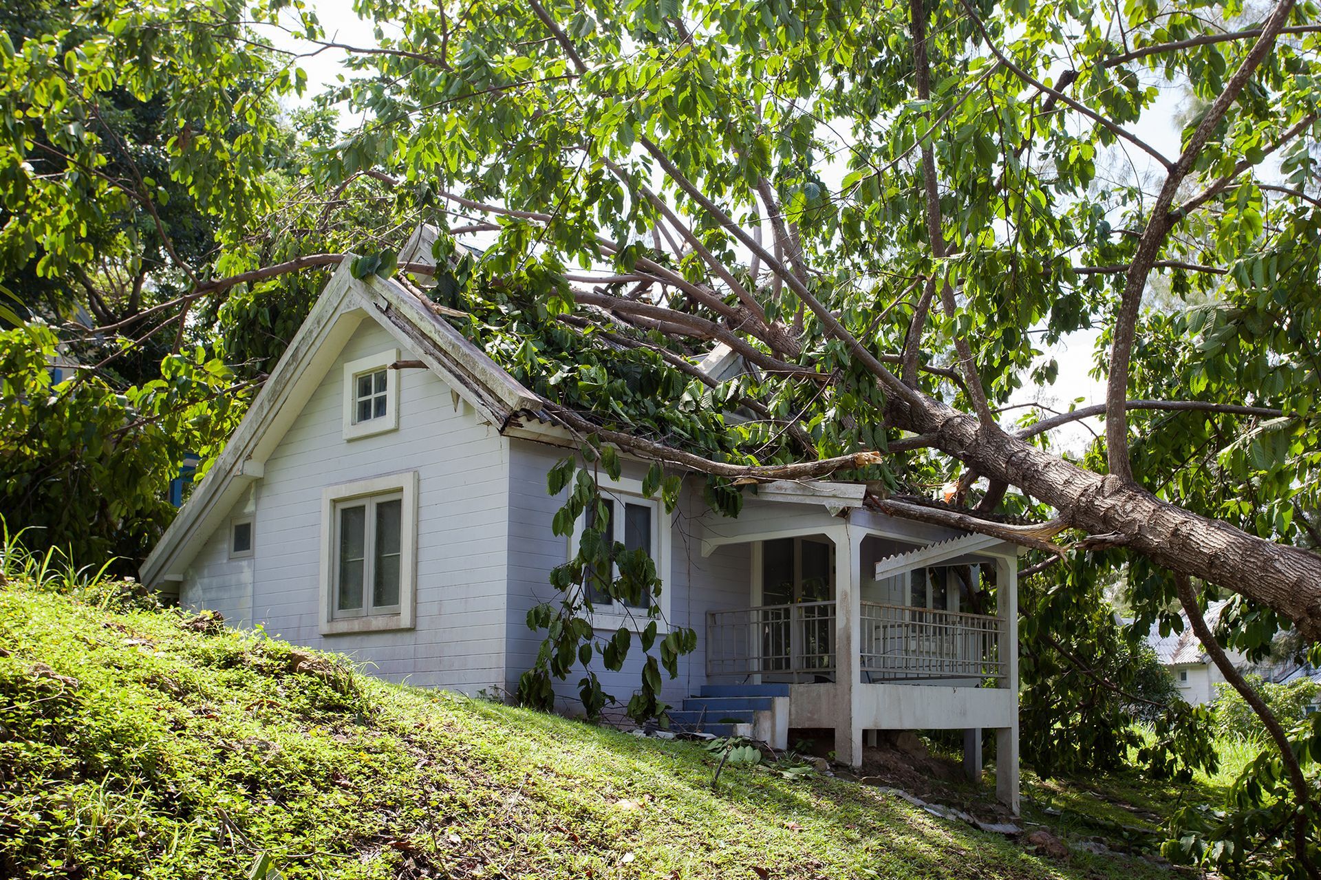 A white house with a tree fallen on it.