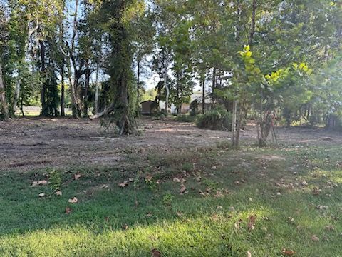 Grassy area with scattered trees and a glimpse of a building in the background; sunny day.