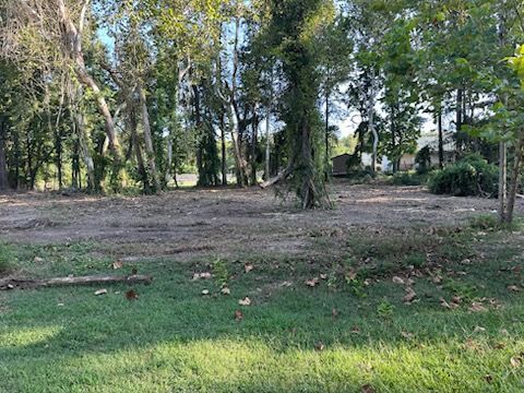 Cleared land with trees in the background; green grass in the foreground, brown debris in the middle.