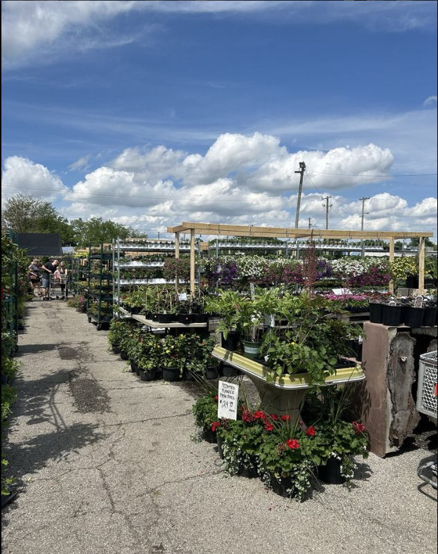 A garden center filled with lots of potted plants and flowers.