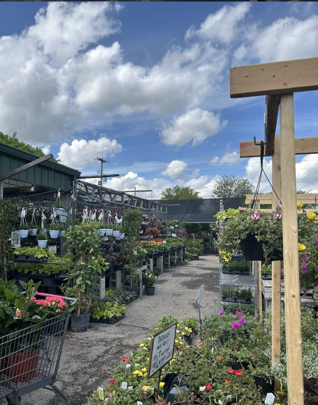A garden center filled with lots of potted plants and flowers