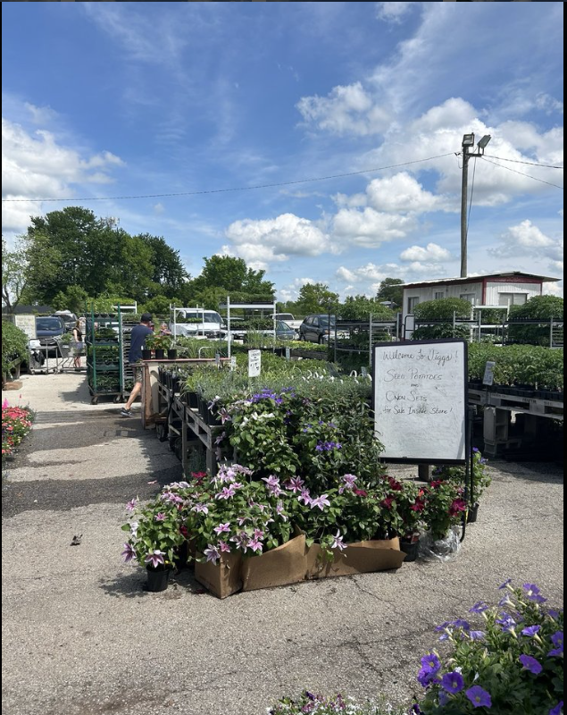 A garden center with a sign that says ' flowers for sale ' on it