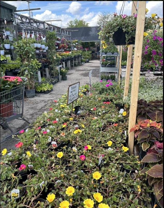 A garden center filled with lots of flowers and plants
