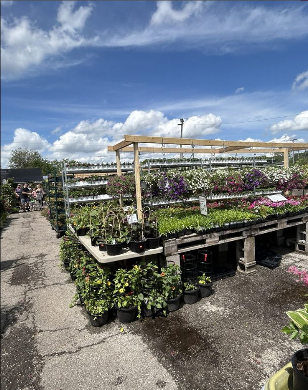 A garden center filled with lots of potted plants