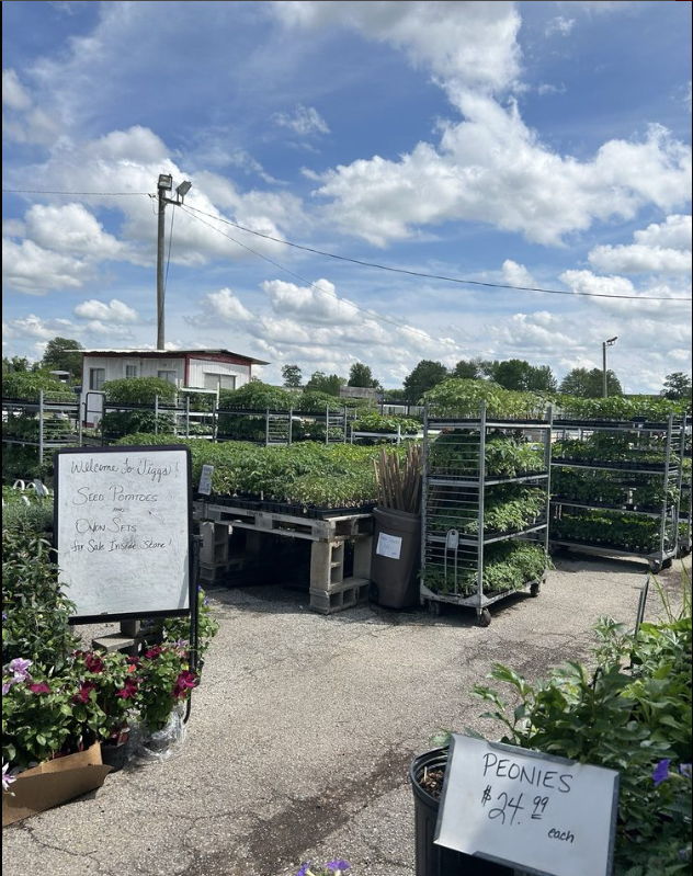 A garden center filled with lots of potted plants and flowers.