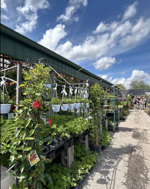 A garden center filled with lots of potted plants and flowers.